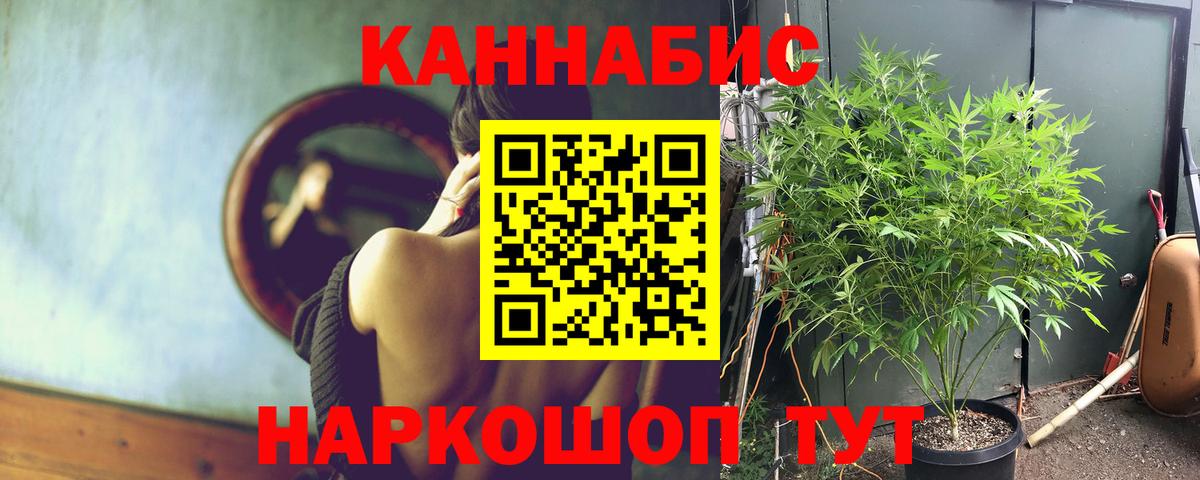 Шишки марихуана планчик  Каннабис MAZAR  Вход с VPN  Шелехов 